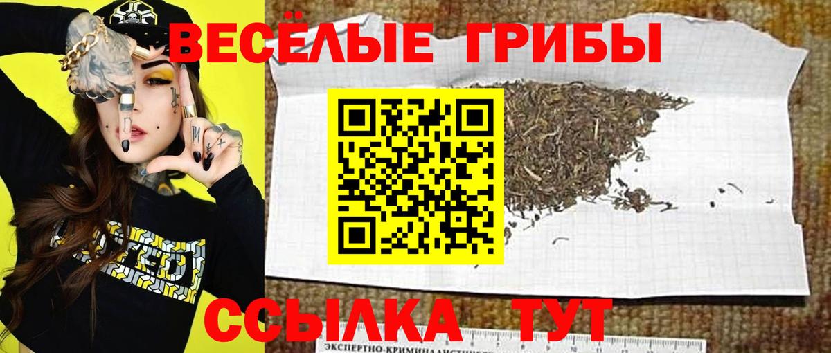 Галлюциногенные грибы Magic Shrooms Горно-Алтайск