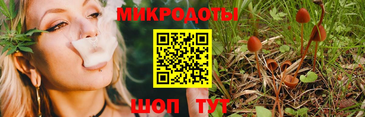 Конопля Горно-Алтайск